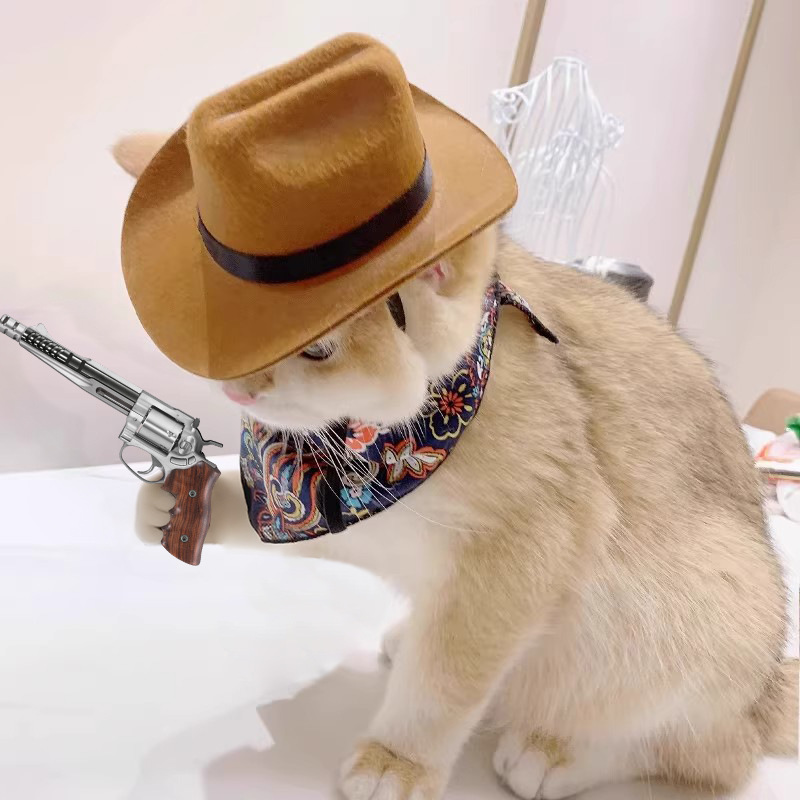    Chapéu de cowboy para gato - Cowboy Hat Straw avaliação e preço